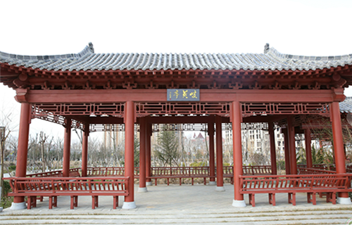 山東中醫(yī)藥高等?？茖W(xué)校